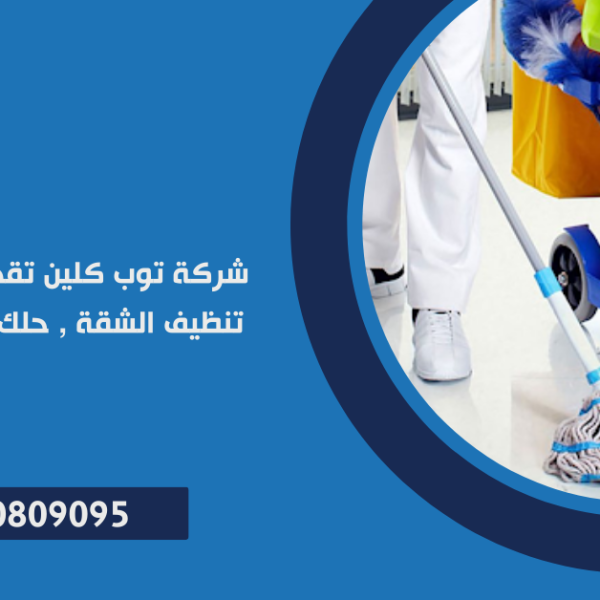 تنظيف الشقة