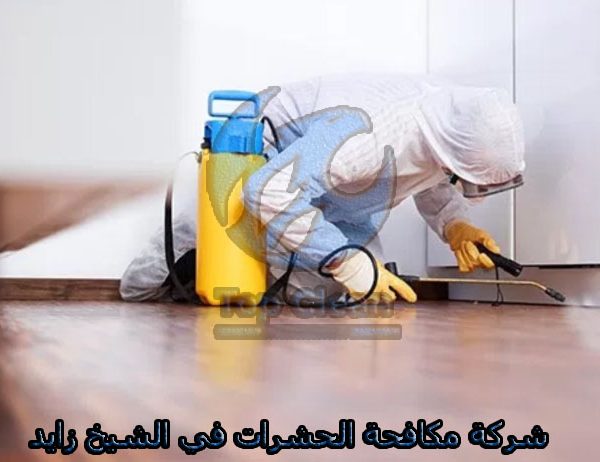 شركة مكافحة الحشرات في الشيخ زايد