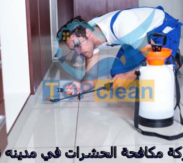 شركة مكافحة الحشرات في مدينه نصر