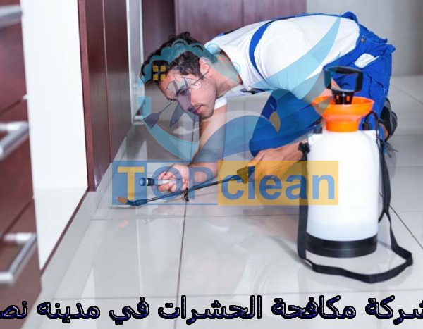 شركة مكافحة الحشرات في مدينه نصر