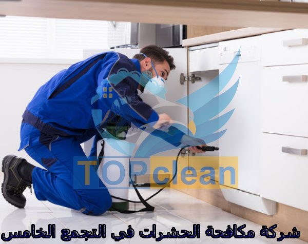 شركة مكافحة الحشرات في التجمع الخامس