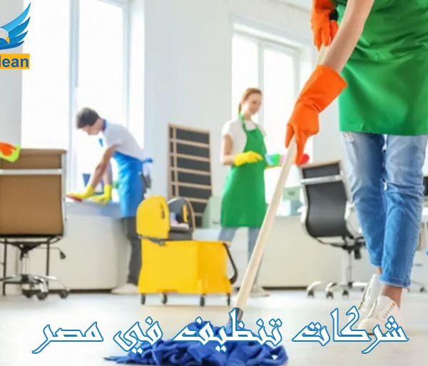 شركات تنظيف في مصر