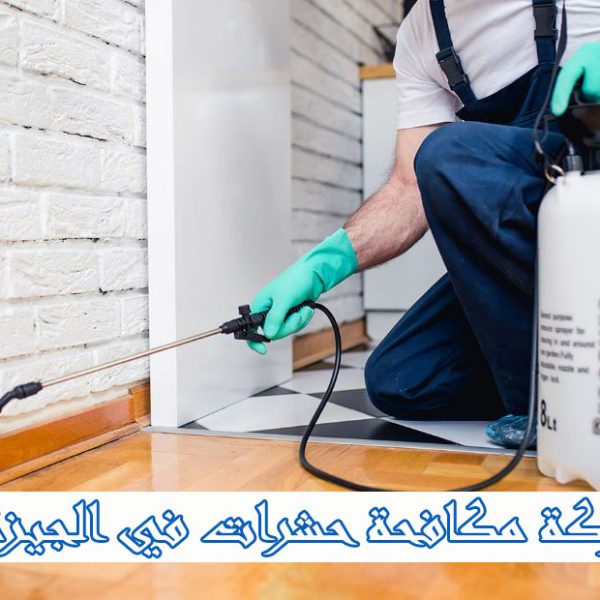 شركة مكافحة حشرات في الجيزة