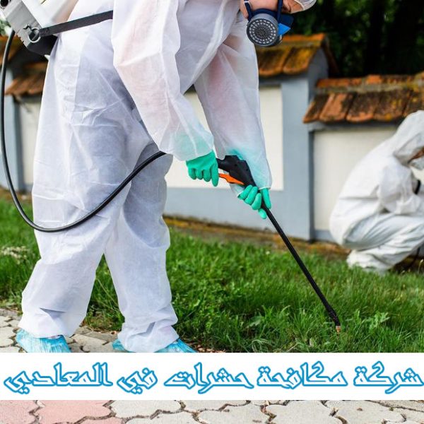 شركة مكافحة حشرات في المعادي