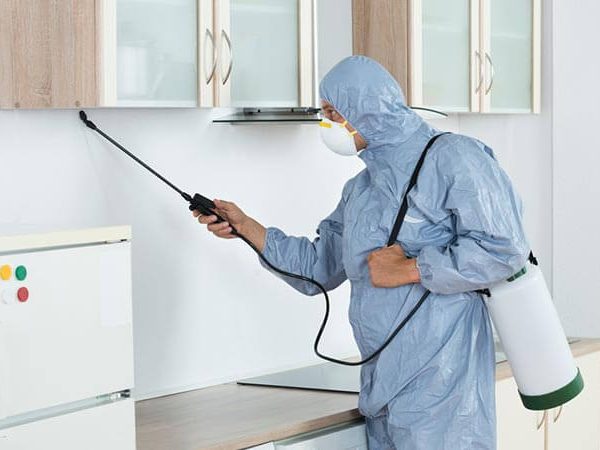 شركة رش المنازل