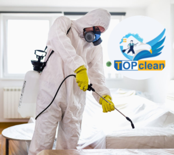 طرق مكافحة الحشرات والقوارض بأمان