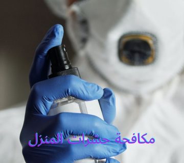 مكافحة حشرات المنزل
