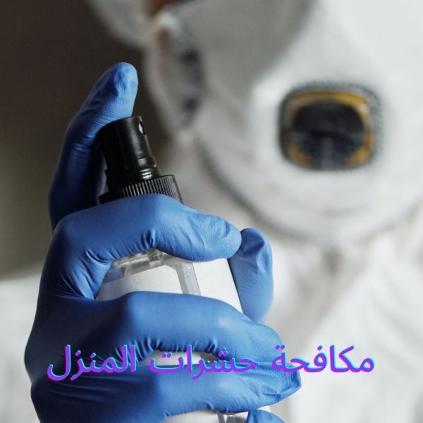 مكافحة حشرات المنزل