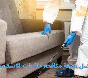 أفضل شركة مكافحة حشرات الاسكندرية