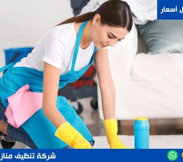 شركة تنظيف منازل القاهرة