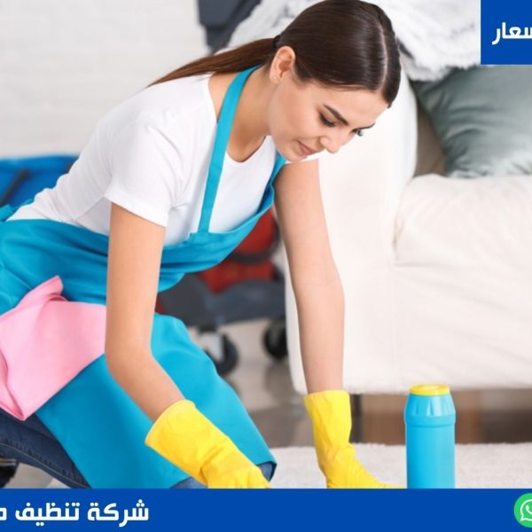 شركة تنظيف منازل القاهرة
