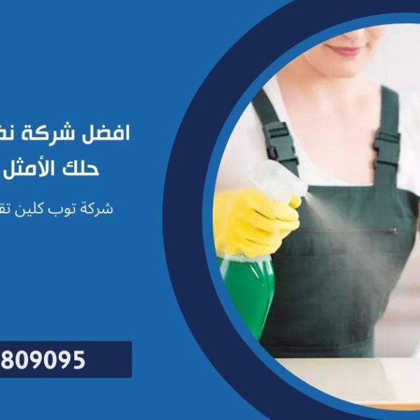 شركة نظافة منزلية