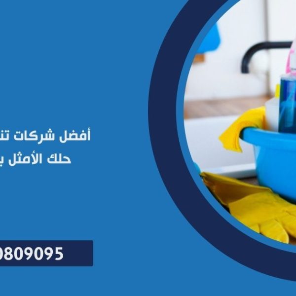 أفضل شركات تنظيف البيوت