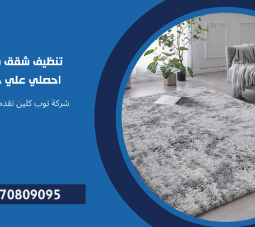 تنظيف شقق في مدينتي