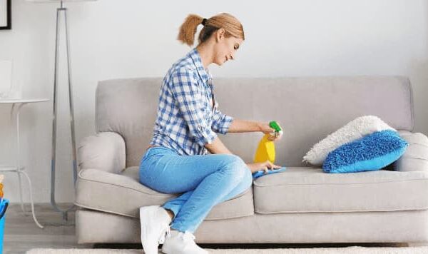 كيف اتخلص من وبر الكنب