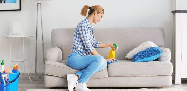 كيف اتخلص من وبر الكنب